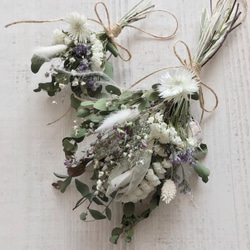 ユーカリスワッグ ユーカリのナチュラル スワッグ 2点セット ドライフラワー ドライ