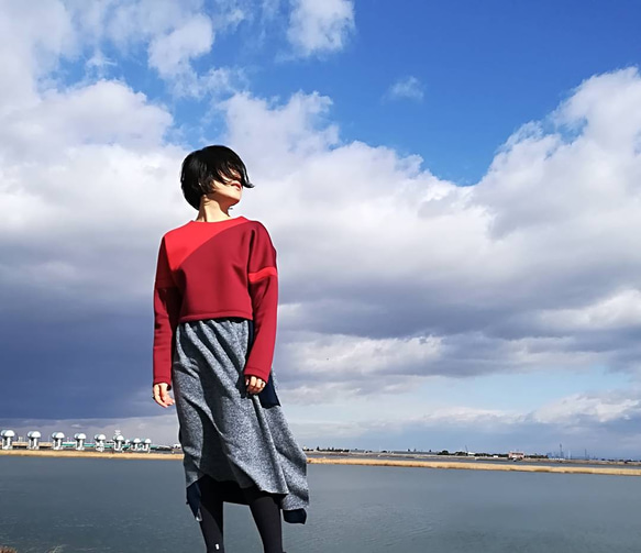 asymmetry bi-color bonding tops  Bordeaux 1枚目の画像