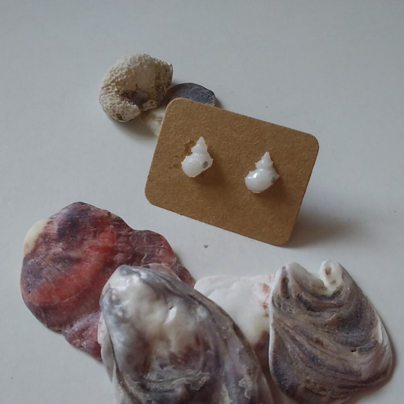 小さな小さな貝殻形の選べるピアス 2枚目の画像