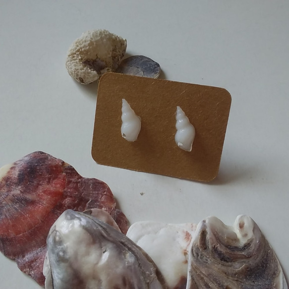 小さな小さな貝殻形の選べるピアス 3枚目の画像