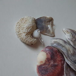 小さな小さな貝殻形の選べるピアス 6枚目の画像