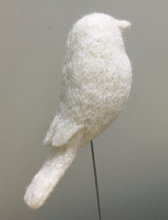 小鳥模型 羊毛氈 擺飾 第2張的照片