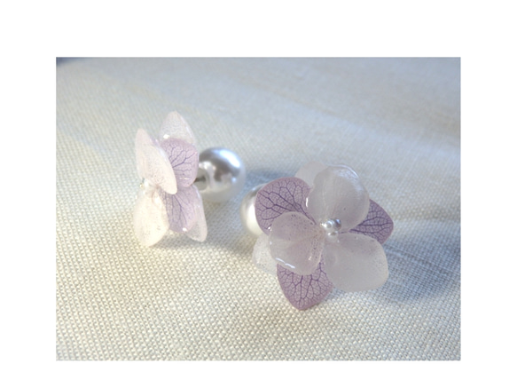 八重の紫陽花　*orchid* 2枚目の画像