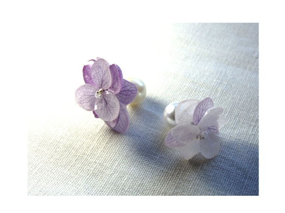 八重の紫陽花　*orchid* 4枚目の画像