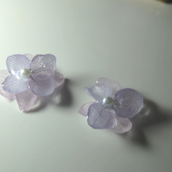 紫陽花のピアス　*イングリッシュラベンダーとローズペタル* 5枚目の画像