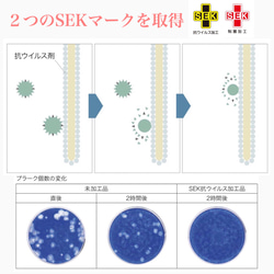 プレゼントキャンペーン中❗️高機能 立体マスク(ボーダー)送料込み 5枚目の画像