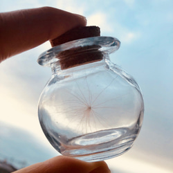 幸せを呼ぶ」 ケサランパサラン(大)1匹 （丸瓶）☆送料無料☆ その他