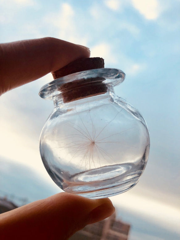 幸せを呼ぶ」 ケサランパサラン(大)1匹 （丸瓶）☆送料無料☆ その他