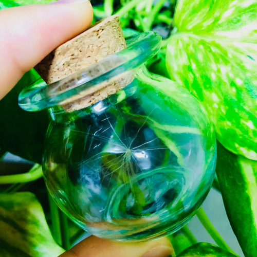 幸せを呼ぶ」 ケサランパサラン(大)1匹 （丸瓶）☆送料無料☆ その他