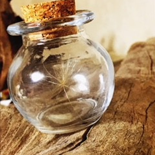 幸せを呼ぶ」 ケサランパサラン(大)1匹 （丸瓶）☆送料無料☆ その他