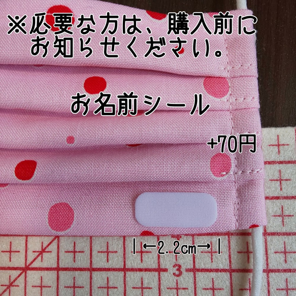 〔受注生産〕夏向け プリーツ 布マスク ノーズワイヤー入り （子供用 Ｌサイズ） 6枚目の画像