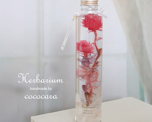 errer 香水瓶 白い小さな花 標本 ハーバリュウム 植物標本 アンティーク errer 香水瓶 白い小さな花 標本 ハーバリュウム 植物標本