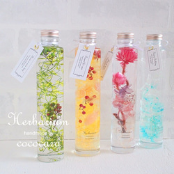 deuxRドライフラワー ハーバリウム 3本セット植物標本ボタニカルボトル deuxRドライフラワー ハーバリウム 3本セット植物標本ボタニカル