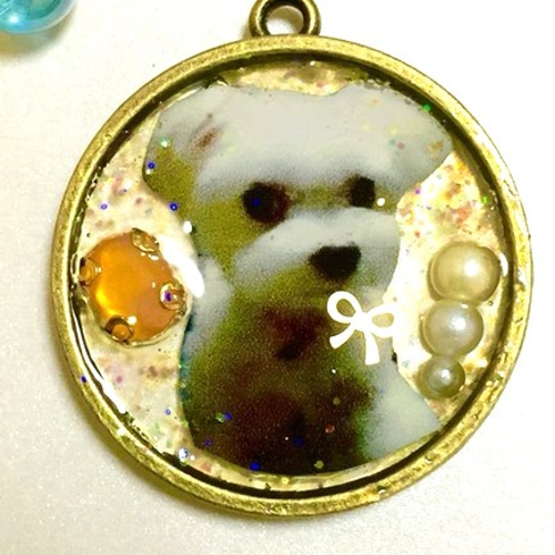 オーダーメイド》レジン ペットチャーム 写真・グラフィック