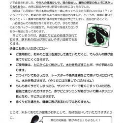 鉄分のお役立ち　湯沸かし、漬け物、煮豆に　鉄や君（3個セット）富山の鋳造所で製作 2枚目の画像