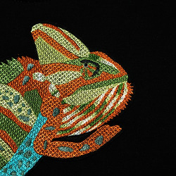 變色龍刺繡上衣 Chameleon Embroidered Top 第3張的照片