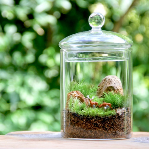 森の鹿[2匹]（L-size）【苔テラリウム（コケリウム・苔リウム