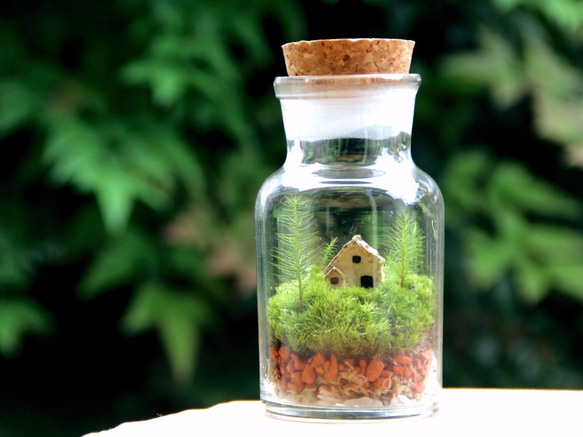 小さな家の景色 -苔のテラリウム -（S） 2枚目の画像