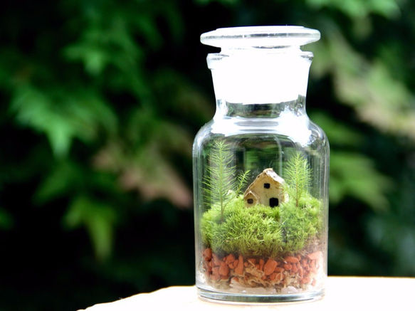 小さな家の景色 -苔のテラリウム -（S） 3枚目の画像