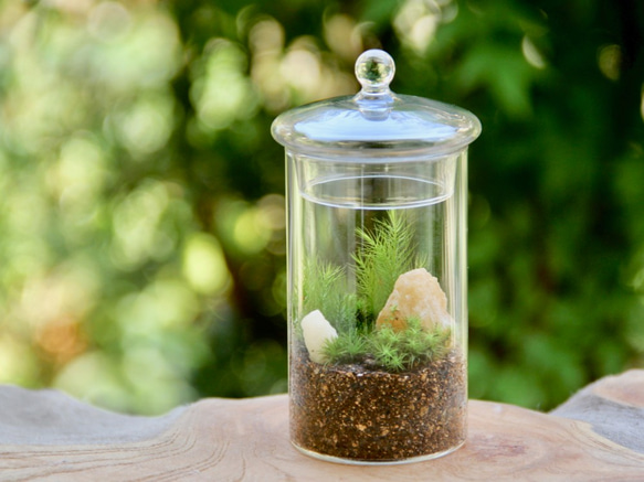 苔テラリウム 15cm 森の妖精フィギュア付き プレゼント インテリア GEX