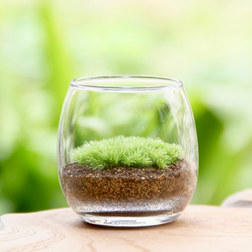 苔むすび OnlineShop