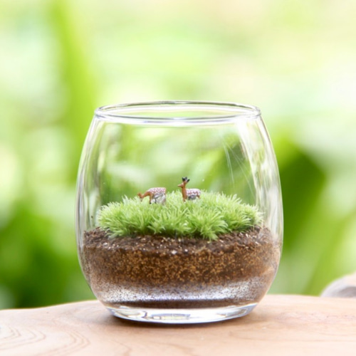 ミニ鹿2匹_おちょこけ《苔テラリウム・コケリウム》 テラリウム 苔  