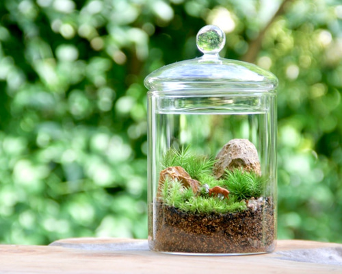 0_1e85595abd60c8fd2b8e1f027f38