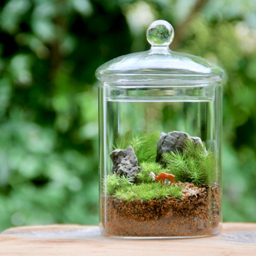 森の鹿[1匹]（L-size）【苔テラリウム（コケリウム・苔リウム