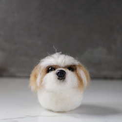 Xi Shi犬用ピル[フェイワ霏手手]マイクロカスタムペット人形（犬を注文する歓迎） 1枚目の画像