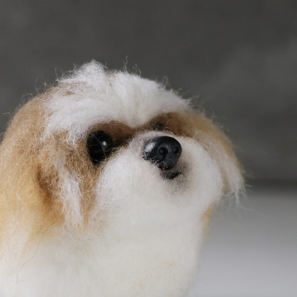 Xi Shi犬用ピル[フェイワ霏手手]マイクロカスタムペット人形（犬を注文する歓迎） 2枚目の画像