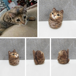 虎斑咖啡 貓丸【feiwa霏娃手作】微客製貓咪 寵物公仔 (歡迎訂做你的貓) 第4張的照片