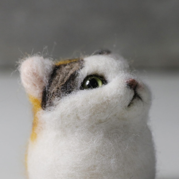 三花 貓丸【feiwa霏娃手作】微客製貓咪 寵物公仔 (歡迎訂做你的貓) 第3張的照片