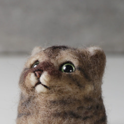 虎斑黑灰 貓丸【feiwa霏娃手作】微客製貓咪 寵物公仔 (歡迎訂做你的貓) 第4張的照片
