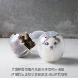ぶちコーヒー猫ピル【feiwa霏手手】レターブランドキーホルダー猫ペット人形 7枚目の画像