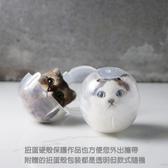 白猫のピル[フェイワ霏手作り]マイクロカスタムペット人形（赤ちゃんの注文を歓迎します） 4枚目の画像