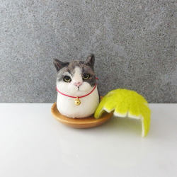 柚子皮貓丸盤【feiwa霏娃手作】微客製寵物 公仔(可訂做你的寶貝) 第2張的照片