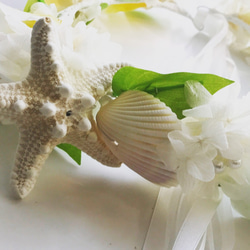 グリーン＆プルメリア 貝殻花冠 3枚目の画像