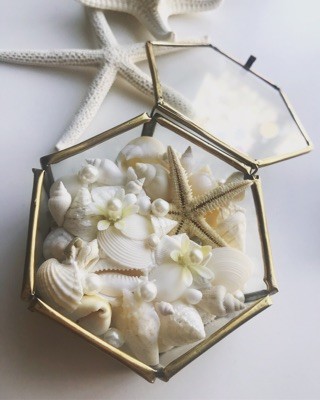 アンティーク六角ガラスケース貝殻リングピロー