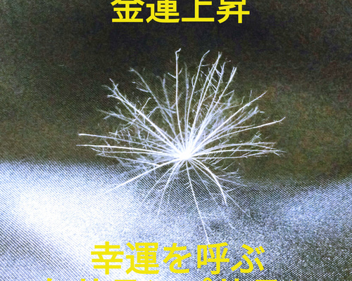 0_9501ded755c3b577ed5d89ba7bb9