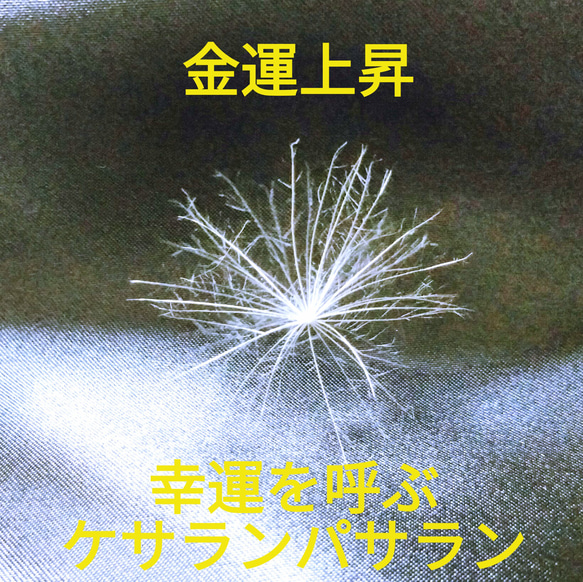 幸運を呼ぶケサランパサラン☆ その他インテリア雑貨 Wish 通販