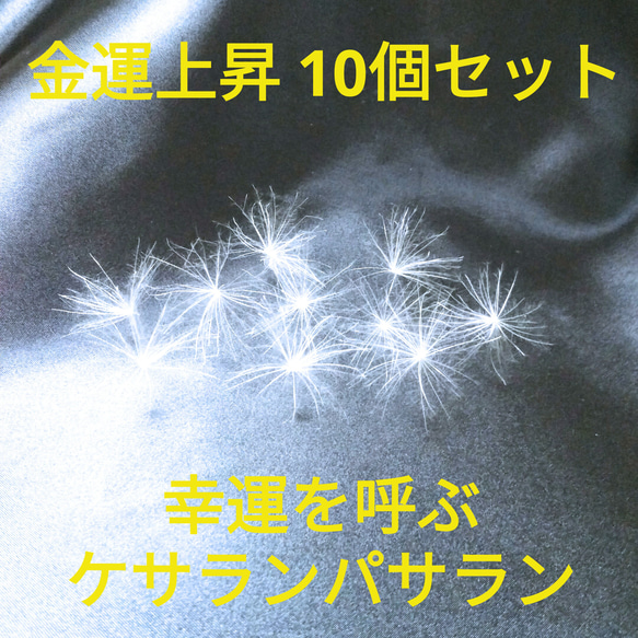 幸運を呼ぶケサランパサラン10個セット☆ その他インテリア雑貨 Wish 