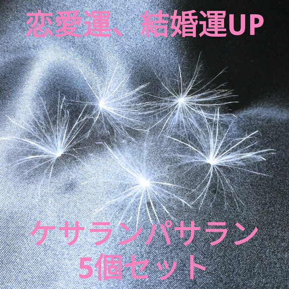 幸運のお守り☆ケサランパサラン5個セット その他インテリア雑貨 Wish