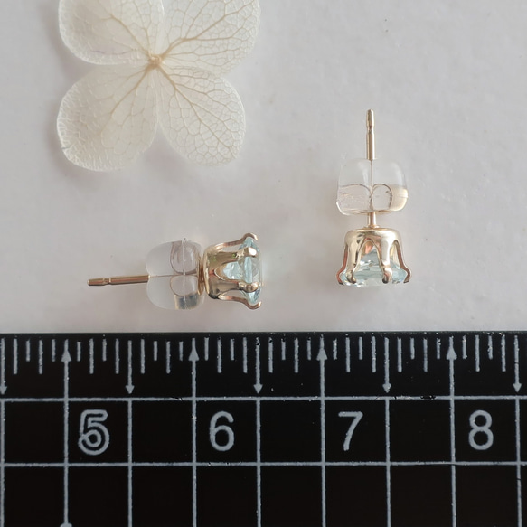  第8張的照片