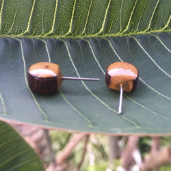 原木樹皮木頭耳針 10mm 第2張的照片