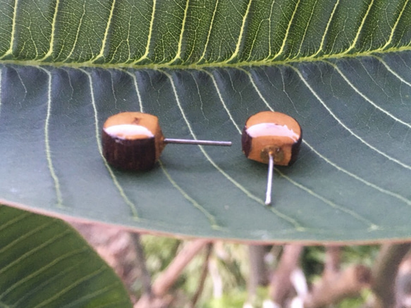 原木樹皮木頭耳針 10mm 第2張的照片