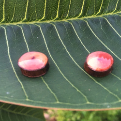 渲染木質耳針 Wooden earrings 第2張的照片