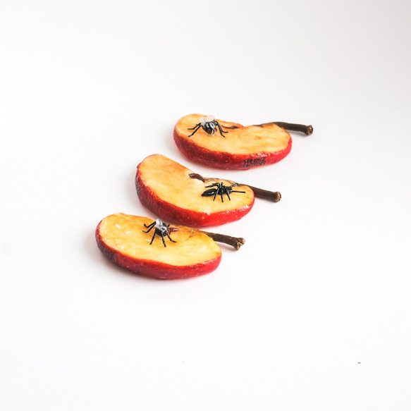 かじったりんご🍎のブローチの通販 by ✿ Rakibitto ✿｜ラクマ