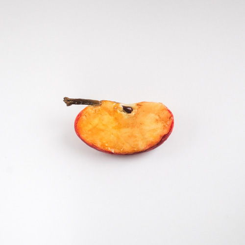 かじったりんご🍎のブローチの通販 by ✿ Rakibitto ✿｜ラクマ