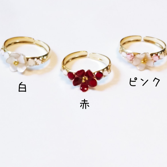 Koume 戒指全 3 種顏色 第2張的照片