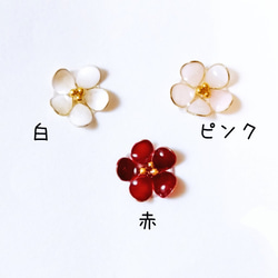 Koume 耳環 全 3 種顏色 第2張的照片